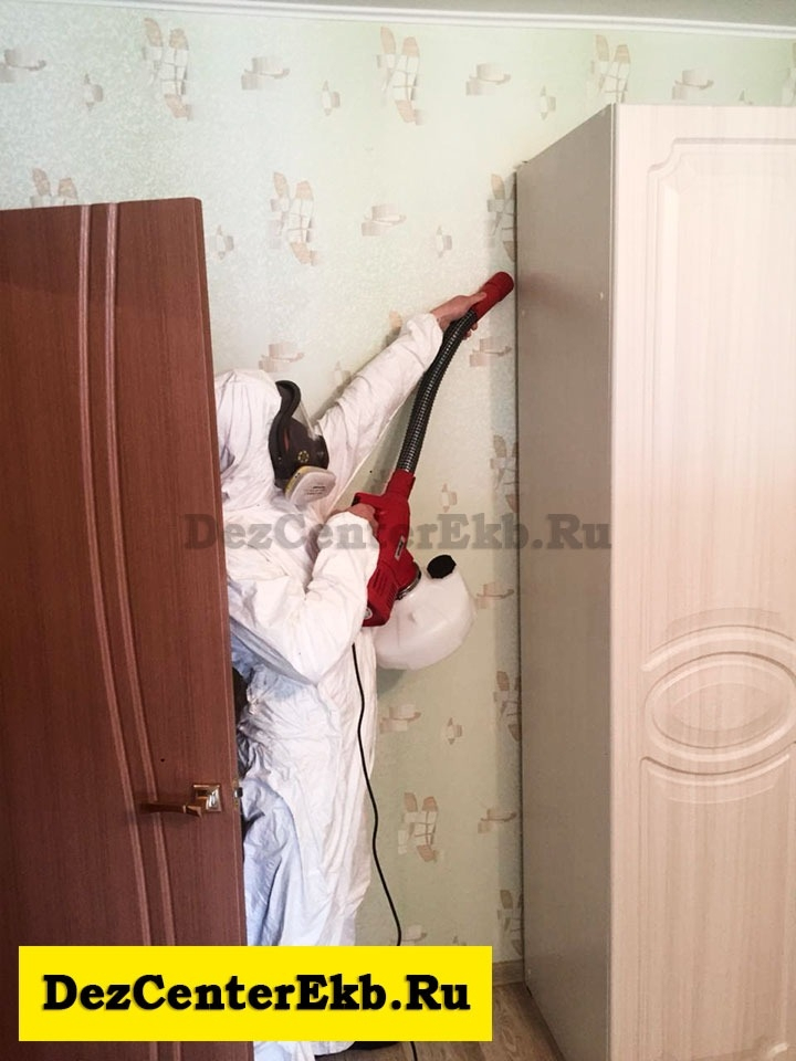 дезинфекция от насекомых Екатеринбург