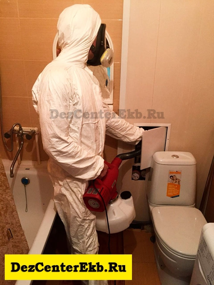 сэс екатеринбург