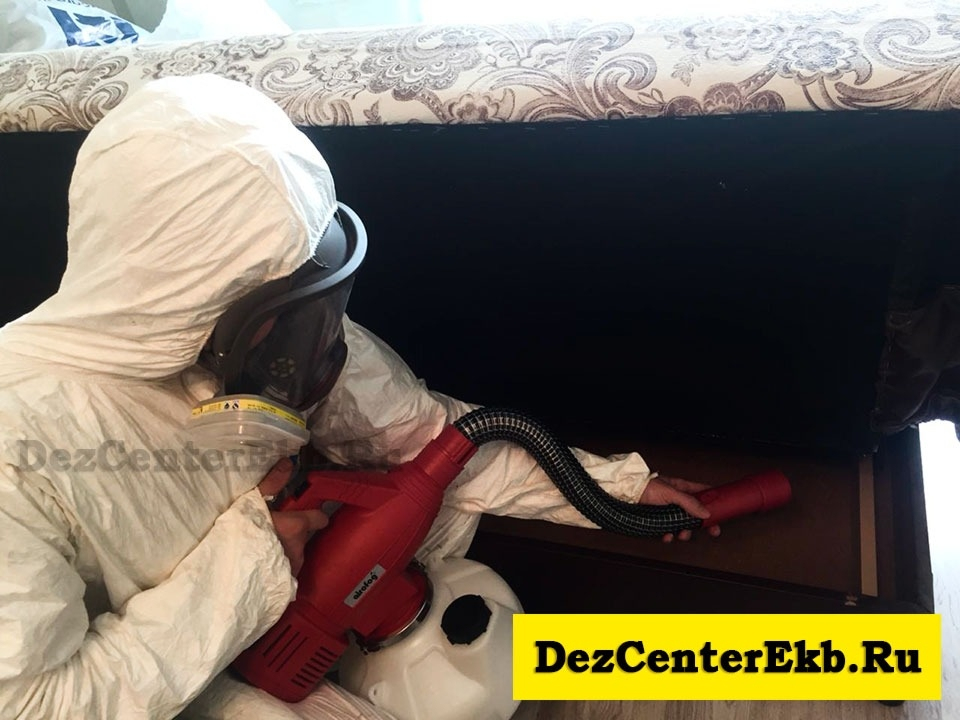 обработка от грызунов Екатеринбург