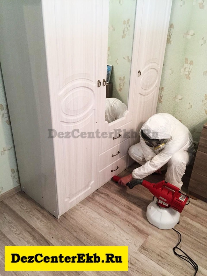 дезинсекция в Екатеринбурге
