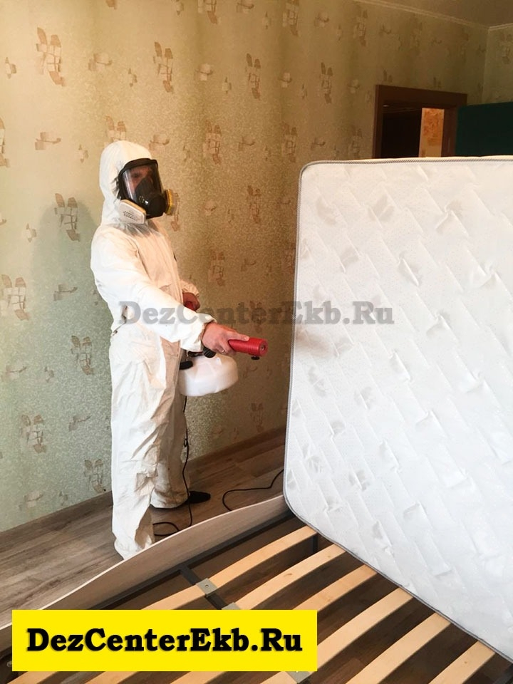 обработка от насекомых Екатеринбург