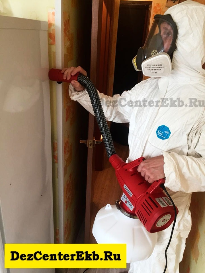 Уничтожение тараканов Екатеринбург