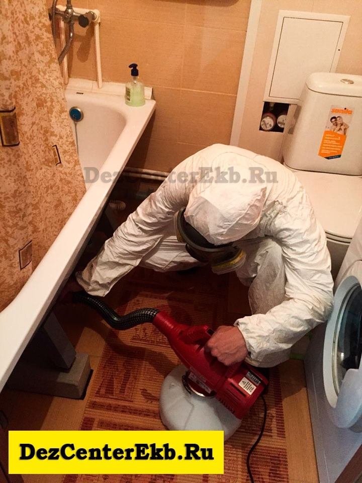 дезинсекция Екатеринбург
