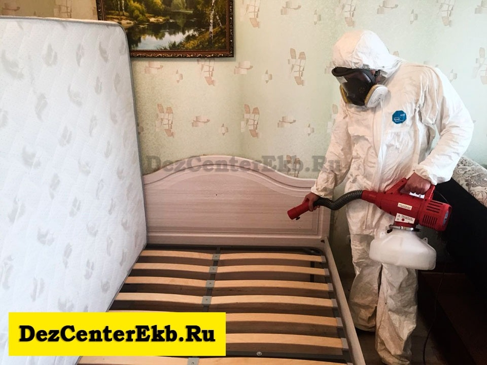 служба сэс екатеринбург